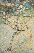 Vincent Van Gogh Flowering Pear-Tree Spain oil painting artist